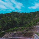 Cladimaco sumando verde