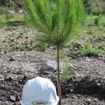 Arenas Gravas y concretos Especializados