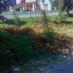 Arenas Gravas y concretos Especializados