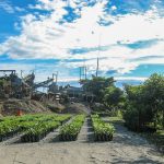 Arenas Gravas y concretos Especializados