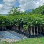 Arenas Gravas y concretos Especializados