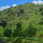 Arenas Gravas y concretos Especializados