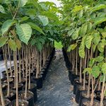 Arenas Gravas y concretos Especializados